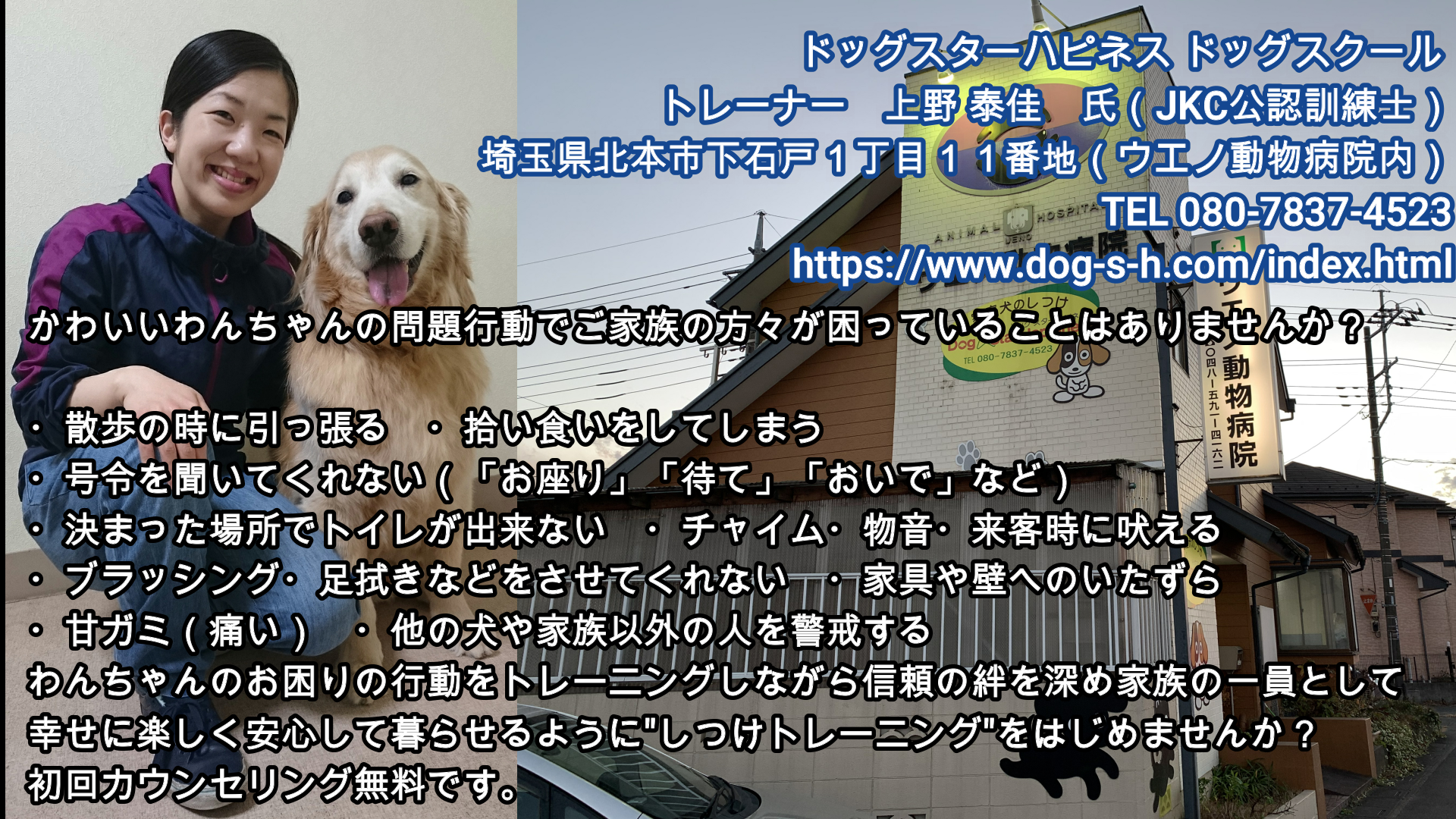 Yegビジネスpr ドッグスターハピネス ドックスクール さいたまyeg つながるビジネスweb